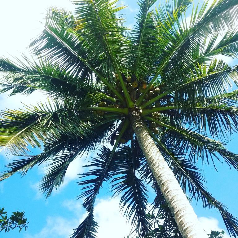 Salt Lake Lodge Savusavu Exteriér fotografie